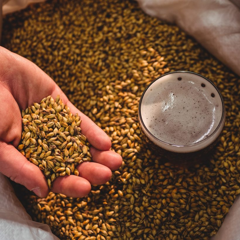 manufacturer-showing-barley-in-sack-at-brewery.jpg